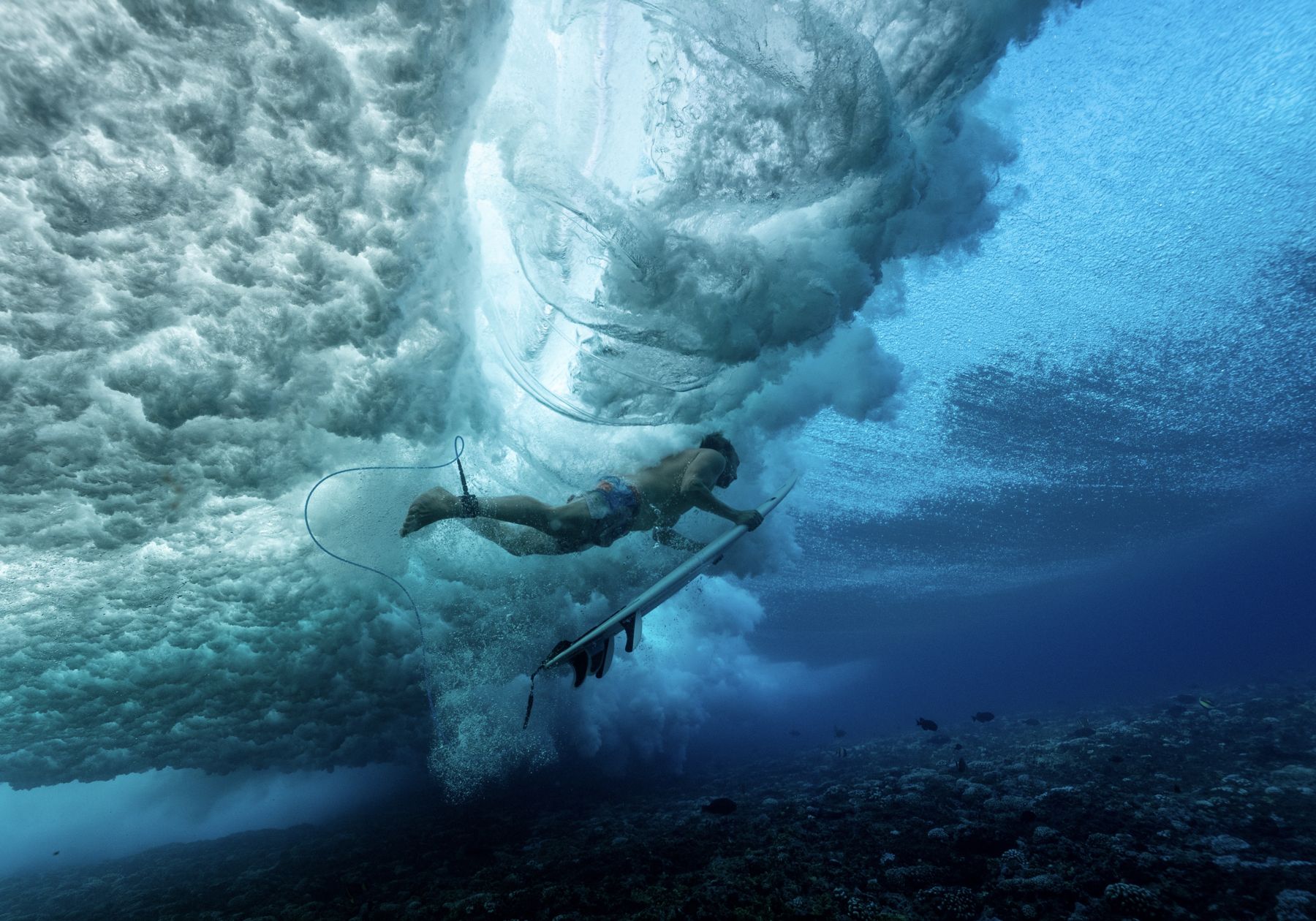 Wipeout – unter der brechenden Welle